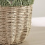 Scallope Rope Planter - 31 cm-household-gardenandoutdoor-potsandplanters-planters-image-8