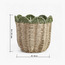 Scallope Rope Planter - 31 cm-household-gardenandoutdoor-potsandplanters-planters-image-10