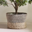 Mia Jute Planter - 20 cm-household-gardenandoutdoor-potsandplanters-planters-image-1