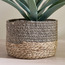 Mia Jute Planter - 20 cm-household-gardenandoutdoor-potsandplanters-planters-image-1