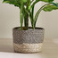 Mia Melange Rope Jute Planter - 20 cm-household-gardenandoutdoor-potsandplanters-planters-image-1