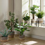Mia Melange Rope Jute Planter - 20 cm-household-gardenandoutdoor-potsandplanters-planters-image-4