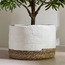 Mia Paper Planter - 20 cm-household-gardenandoutdoor-potsandplanters-planters-image-1