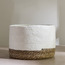 Mia Paper Planter - 20 cm-household-gardenandoutdoor-potsandplanters-planters-image-2