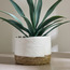 Mia Melange Paper and Rush Planter - 20 cm-household-gardenandoutdoor-potsandplanters-planters-image-1