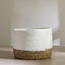 Mia Melange Paper and Rush Planter - 20 cm-household-gardenandoutdoor-potsandplanters-planters-image-2