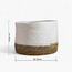 Mia Melange Paper and Rush Planter - 20 cm-household-gardenandoutdoor-potsandplanters-planters-image-5