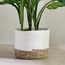 أصيص زرع ورقي - ميا - 20 سم-household-gardenandoutdoor-potsandplanters-planters-image-5