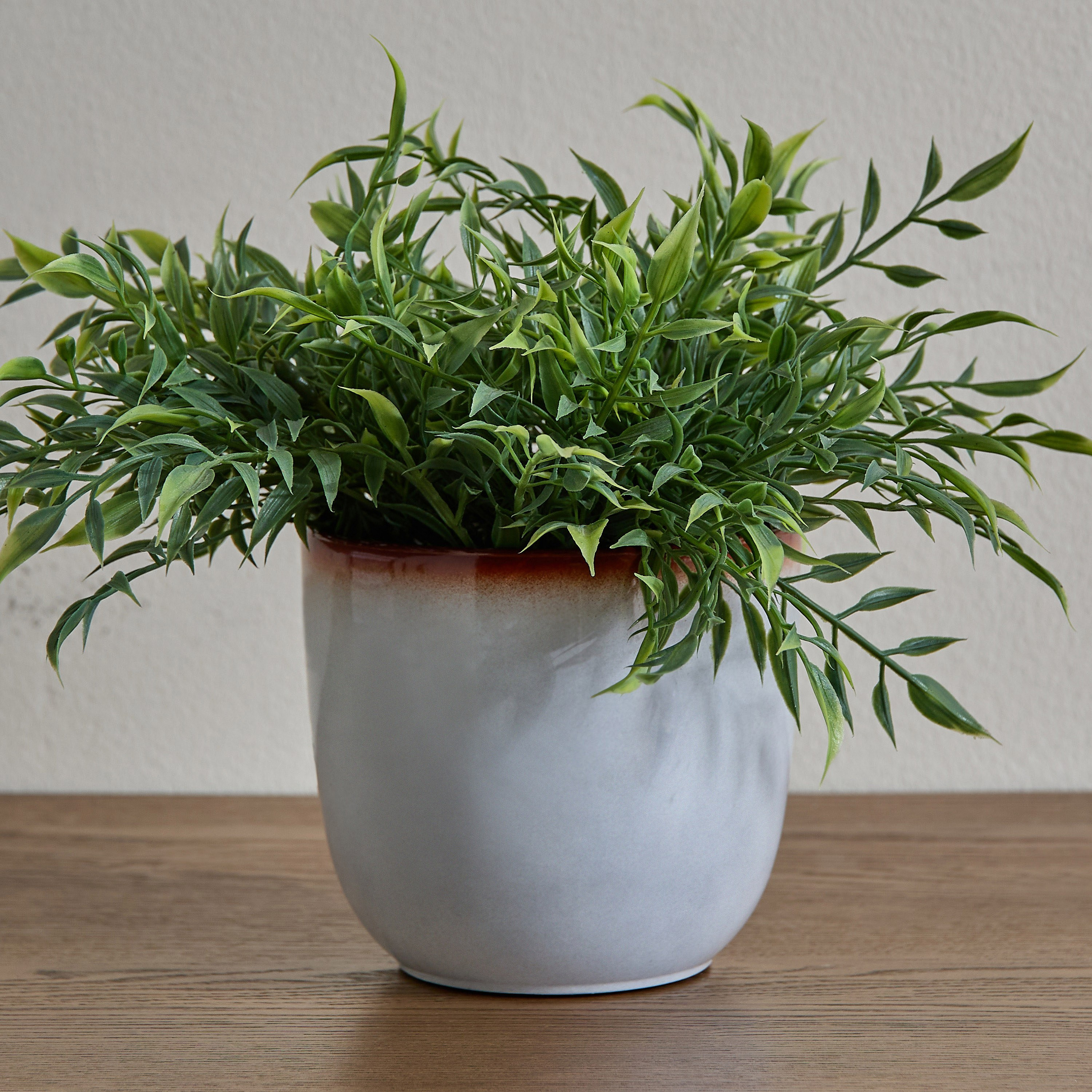 Glint Glaze Planter - 25 cm-household-gardenandoutdoor-potsandplanters-planters-image-1