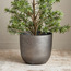 إناء زرع - ميت جلو- 31 سم-binpromo_ALLBANKS_OMN_14032025-image-10