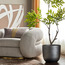 إناء زرع - ميت جلو- 31 سم-binpromo_ALLBANKS_OMN_14032025-image-7