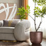إناء زرع - ميت جلو- 31 سم-binpromo_ALLBANKS_OMN_14032025-image-2
