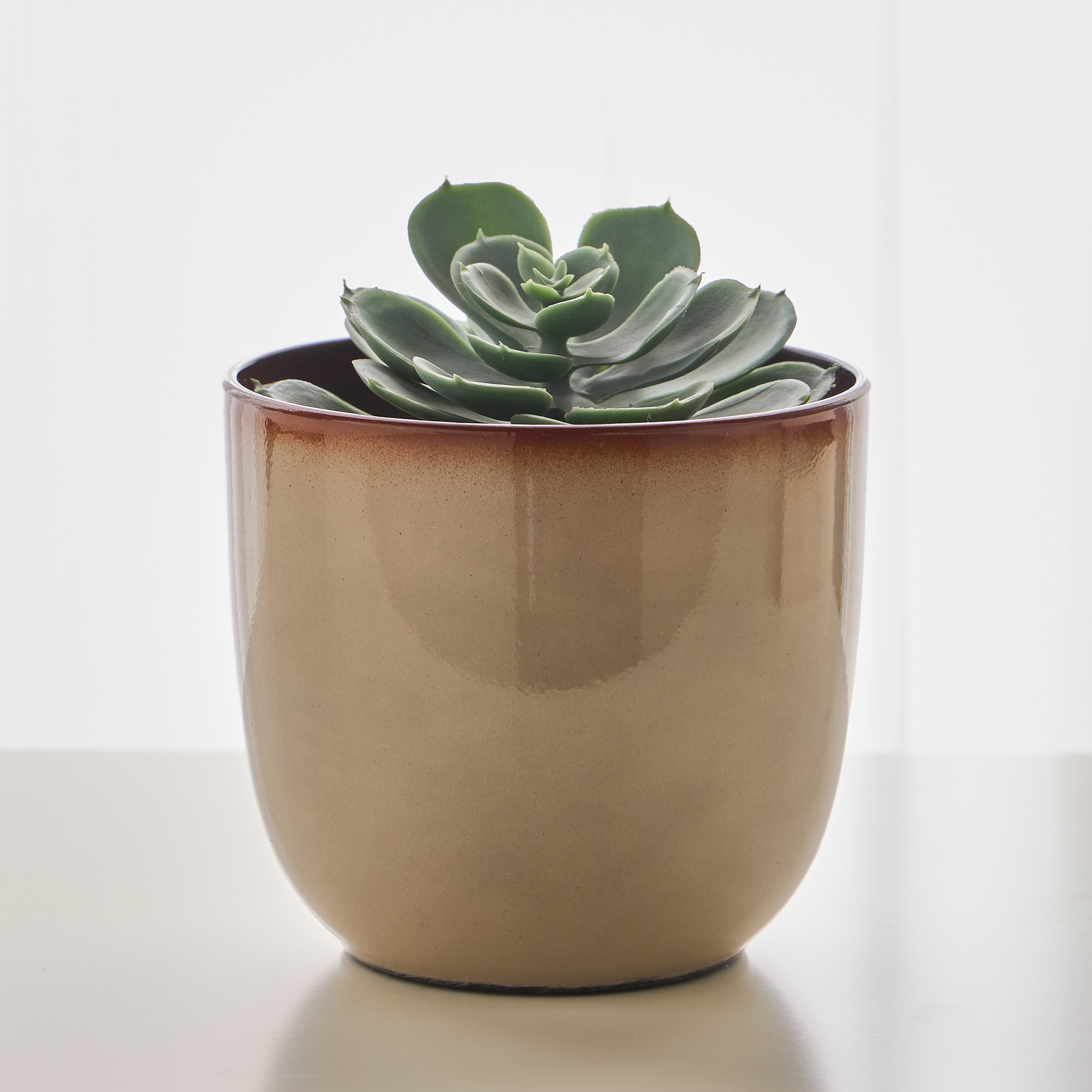 إناء زرع لامع - جلينت - 12 سم-household-gardenandoutdoor-potsandplanters-planters-image-1
