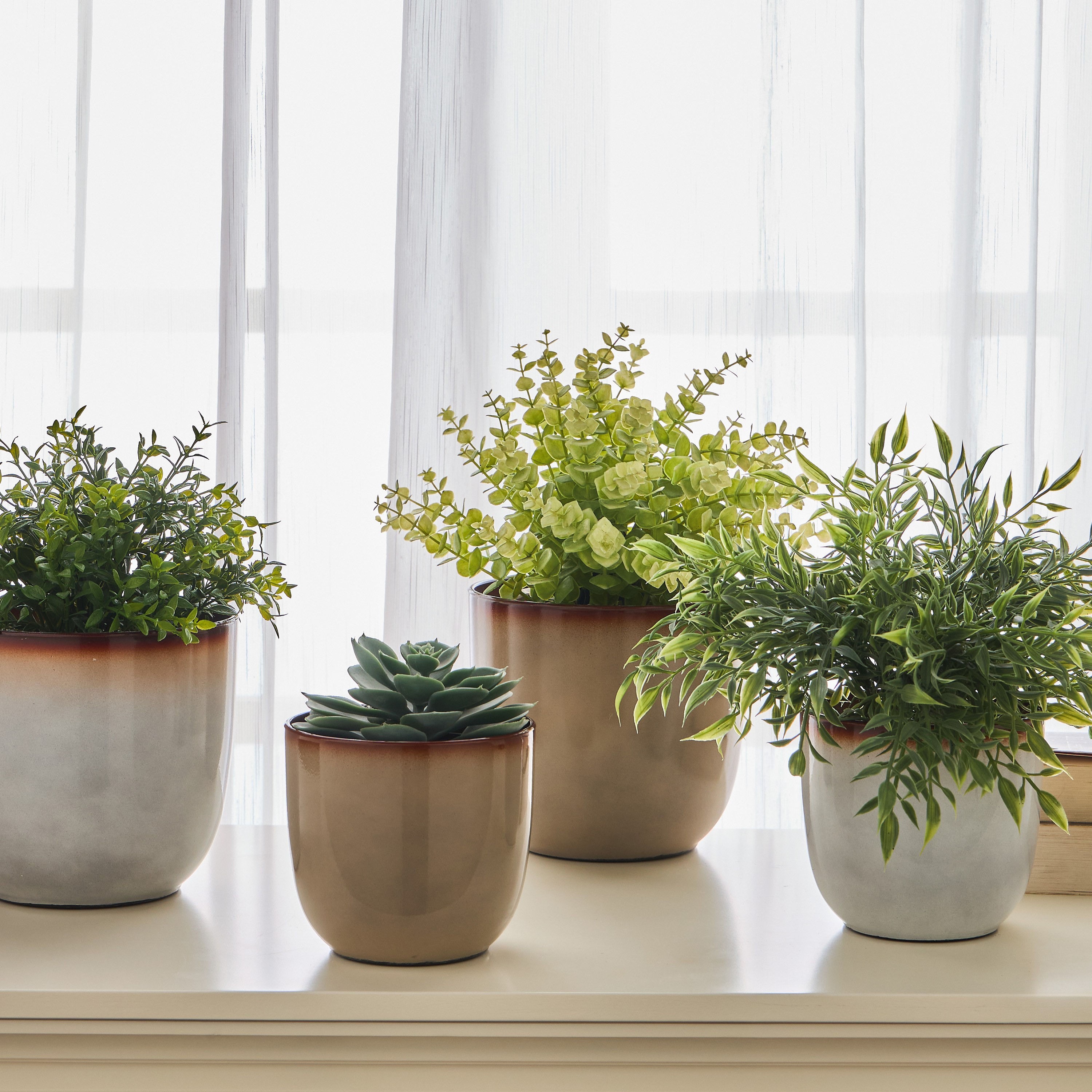 Glint Glaze Planter - 16 cm-household-gardenandoutdoor-potsandplanters-planters-image-4