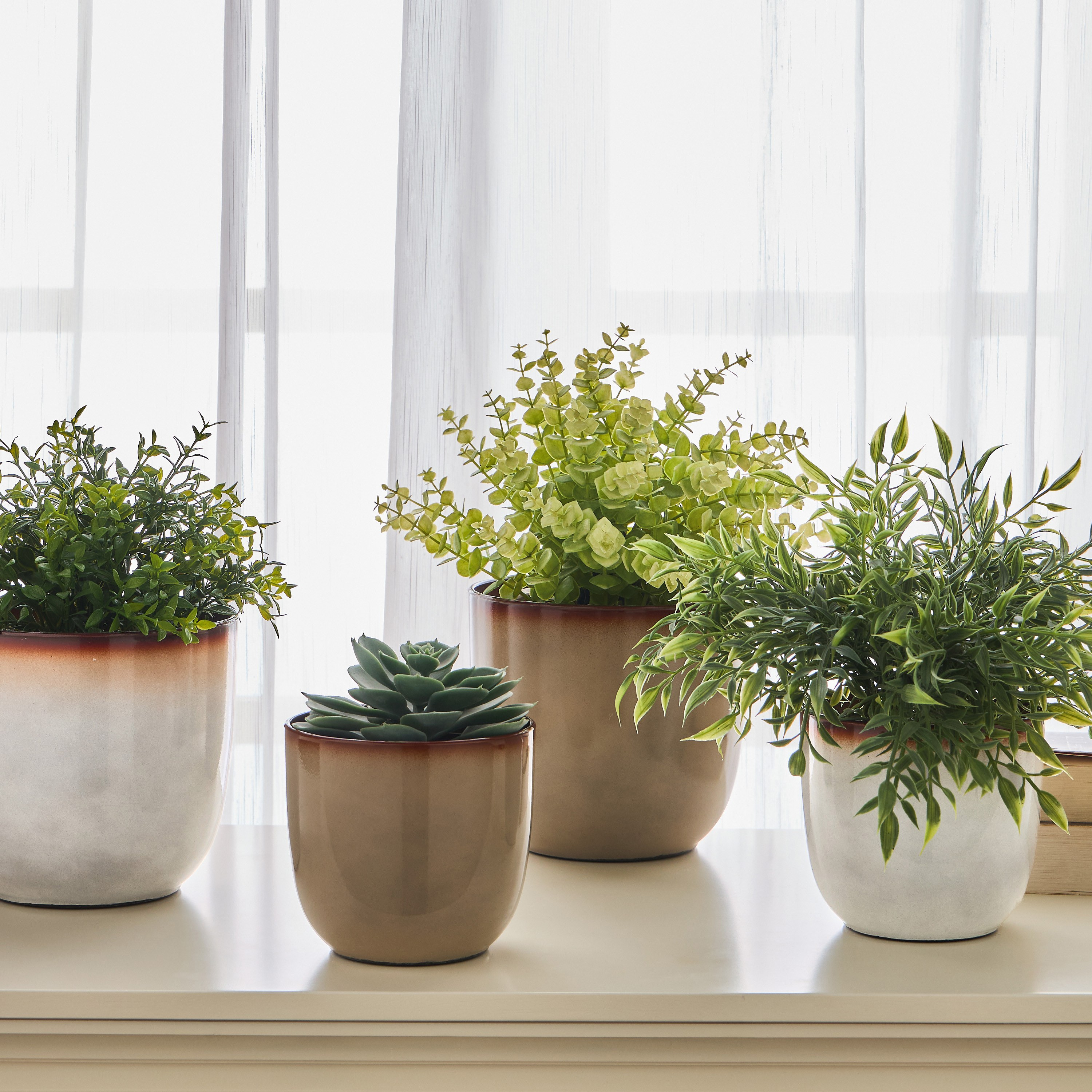 إناء زرع - جلينت جليز - 16 سم-household-gardenandoutdoor-potsandplanters-planters-image-4
