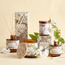 Heritage White Jasmine Reed Diffuser - 200 ml-household-homefragrance-reeddiffusers-image-4