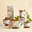 Heritage White Jasmine Scented Jar Candle - 25 h-binpromo_ADCB_UAE_151026-image-4