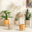 Mondo Allen Metal Planter - 30 cm-household-gardenandoutdoor-potsandplanters-planters-image-4