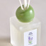 Mori Matcha Flowers and Bergamot Reed Diffuser - 100 ml-promo_hc_HCMISSU10_07072020-image-3