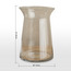 Essential Evolis Glass Vase - 22 cm-household-decor-vasesandbowls-image-4