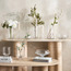 مزهرية زجاجية - أسينشال كولينز - 14 سم-household-decor-vasesandbowls-image-2