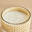 Rattalay White Lotus Scented Jar Candle - 38 h-binpromo_ALLBANKS_OMN_14032025-image-2