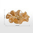 وعاء ديكور زجاجي - فاطمة أليسيا-binpromo_KSA_Alrajhi_17062026-image-1