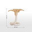 Fatima Leon Taper Candleholder-binpromo_KSA_Alrajhi_17062026-image-5