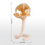 Fatima Leon Taper Candleholder-binpromo_KSA_Alrajhi_17062026-image-5