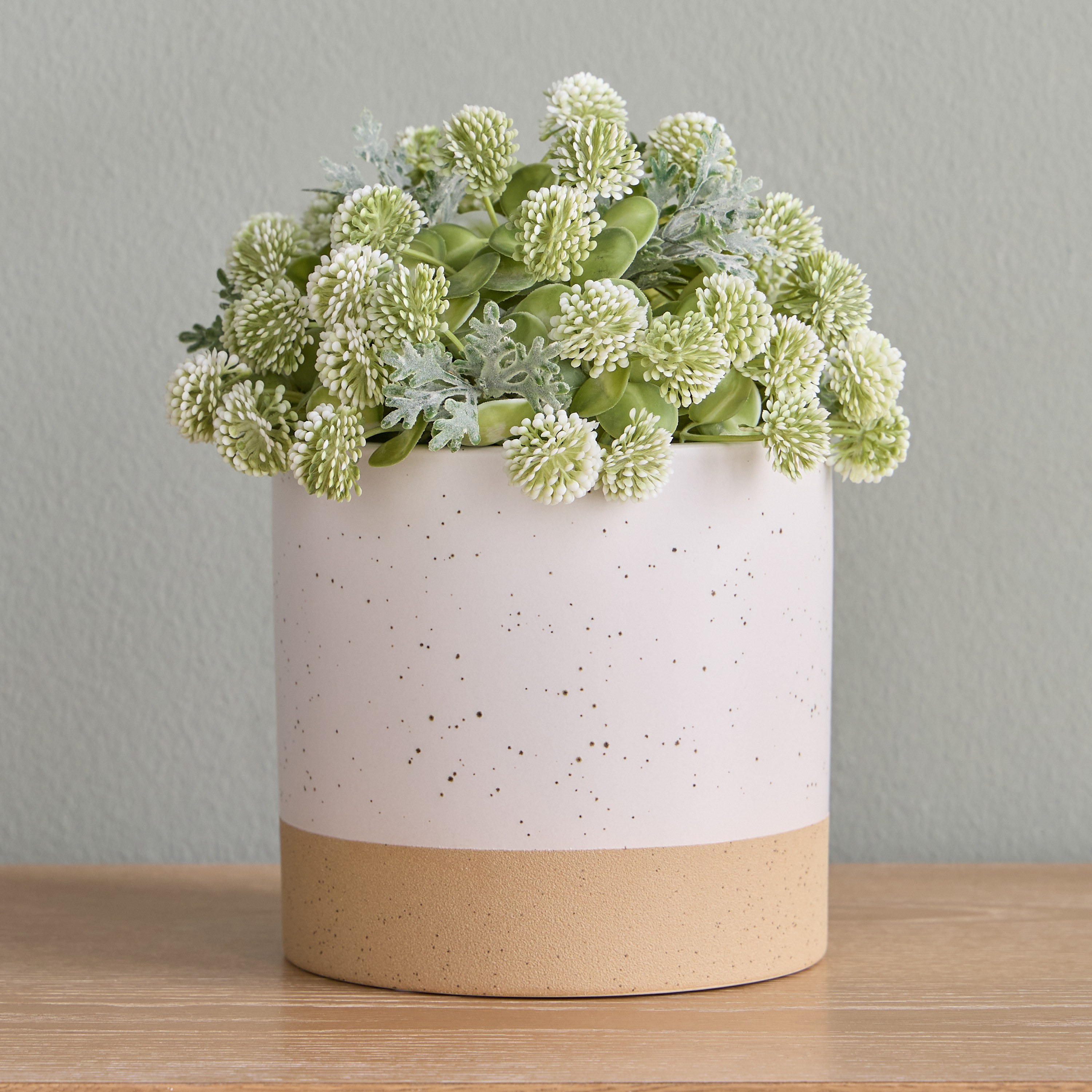 Raha Hudson Ceramic Planter - 17 cm-household-gardenandoutdoor-potsandplanters-planters-image-1