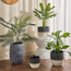 إناء زرع  سيراميك - مودرن مونو - 18 سم-household-gardenandoutdoor-potsandplanters-planters-image-2
