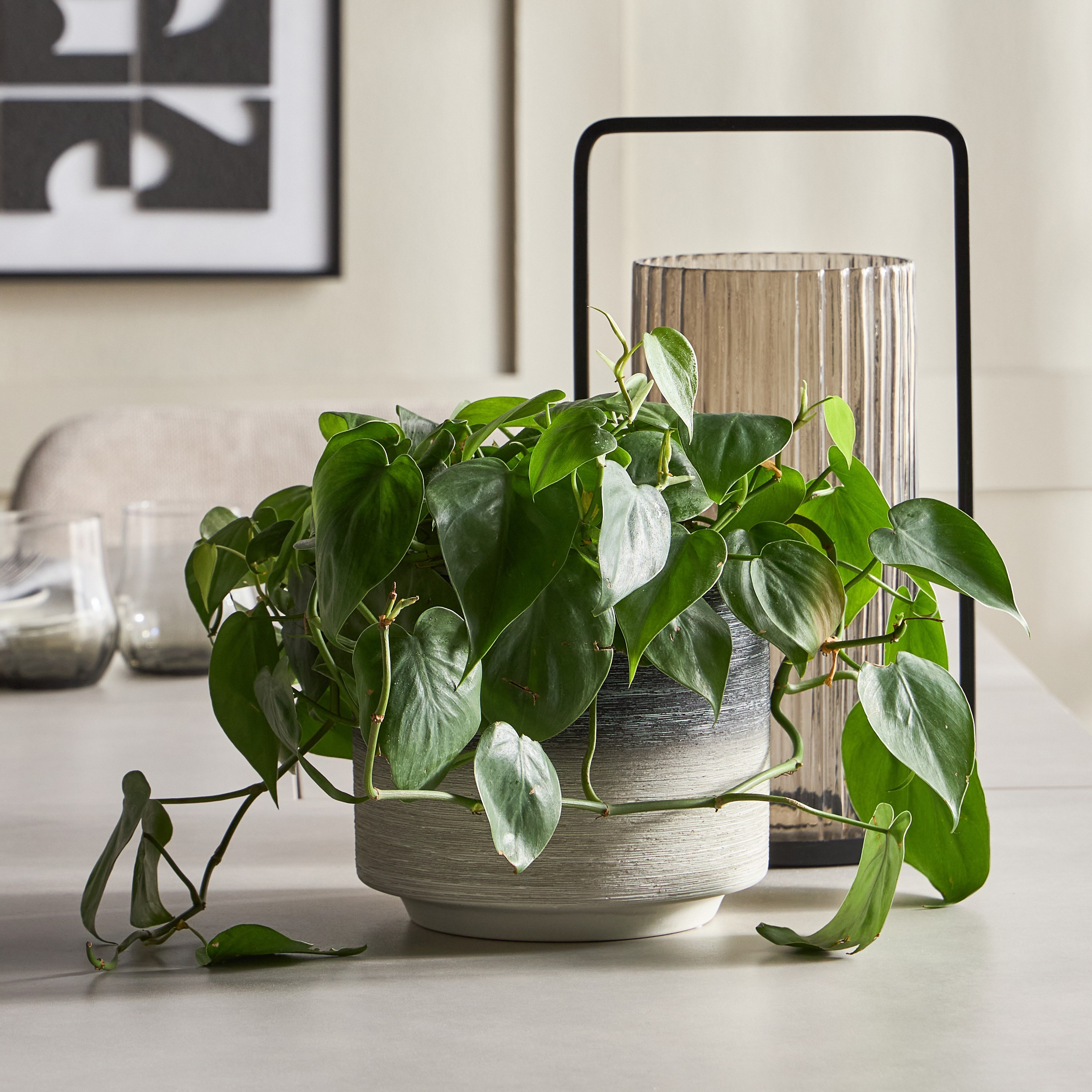 Modern Mono Ash Ombre Planter - 16 cm-household-gardenandoutdoor-potsandplanters-planters-image-4