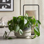 Modern Mono Ash Ombre Planter - 16 cm-household-gardenandoutdoor-potsandplanters-planters-image-4
