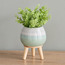 Raha Hudson Ceramic Planter with Stand - 21 cm-household-gardenandoutdoor-potsandplanters-planters-image-1