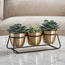 Mimosa Metal Planter - 11 cm-household-gardenandoutdoor-potsandplanters-planters-image-1