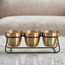 Mimosa Metal Planter - 11 cm-household-gardenandoutdoor-potsandplanters-planters-image-2