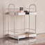 Claudia 2-Tier Storage Rack-household-storage-storagesolutions-storageracks-image-1