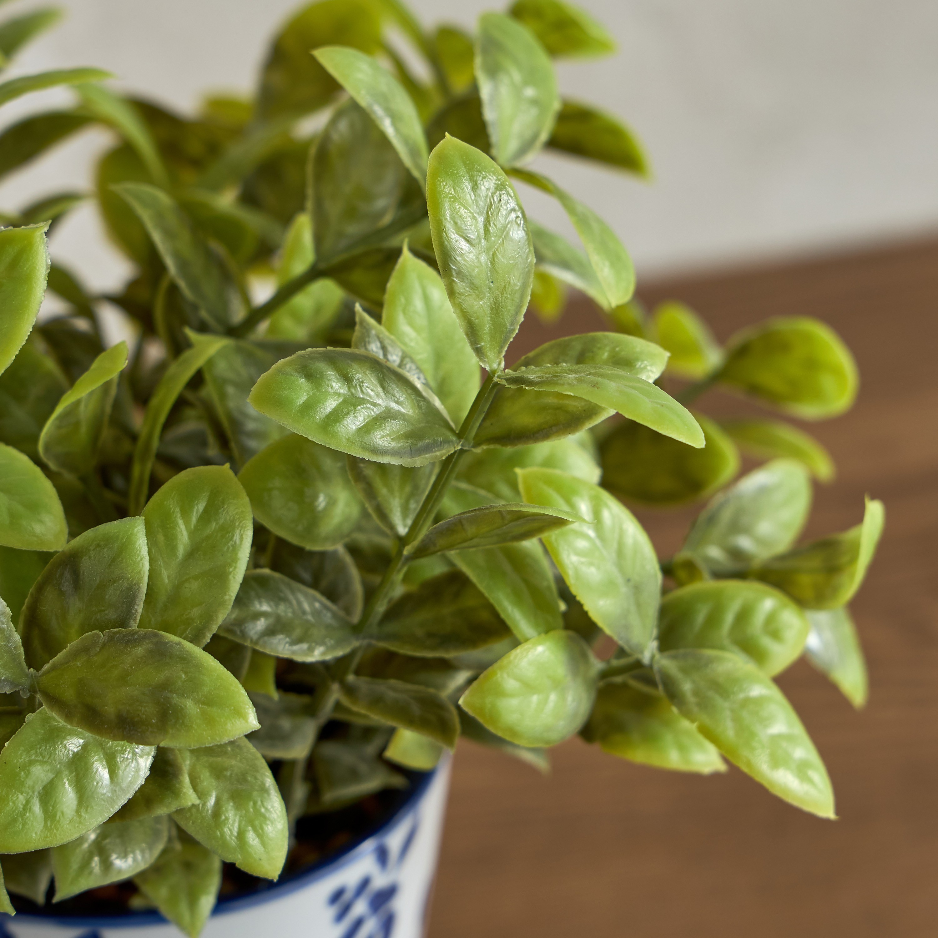 Foliage Plant in Pot - 23 cm-household-gardenandoutdoor-artificialplants-pottedplants-image-2