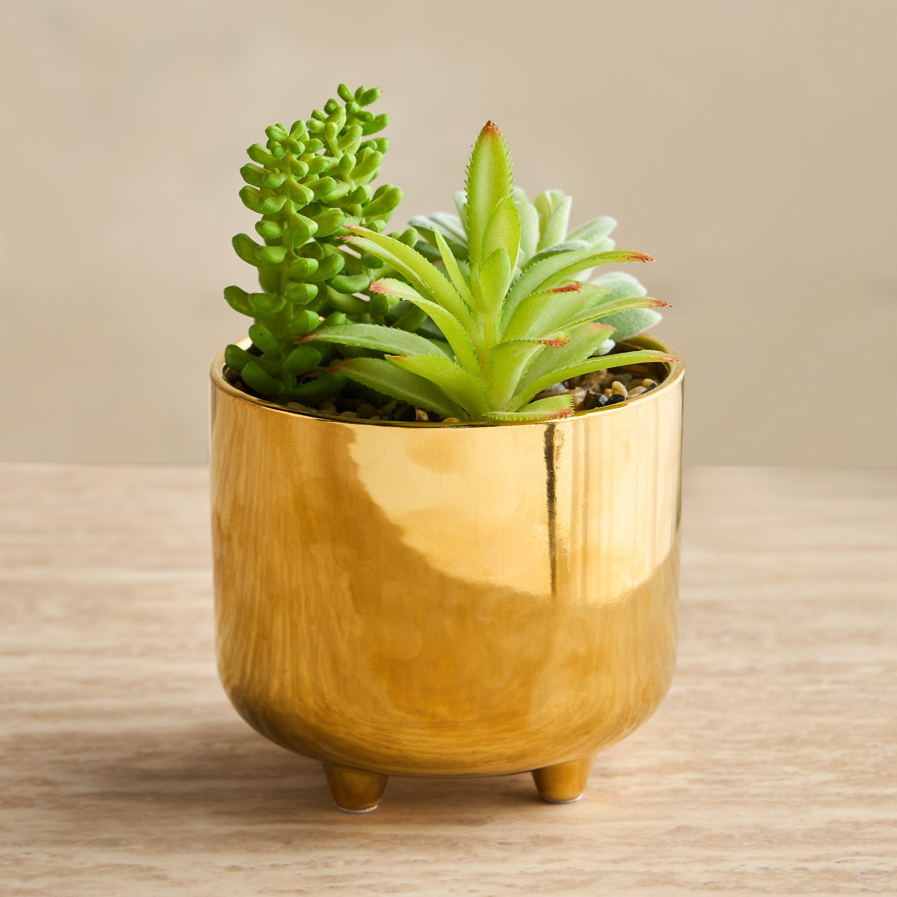 Carassula Mix Succulents in Pot - 19 cm-household-gardenandoutdoor-artificialflowersandplants-succulents-image-1