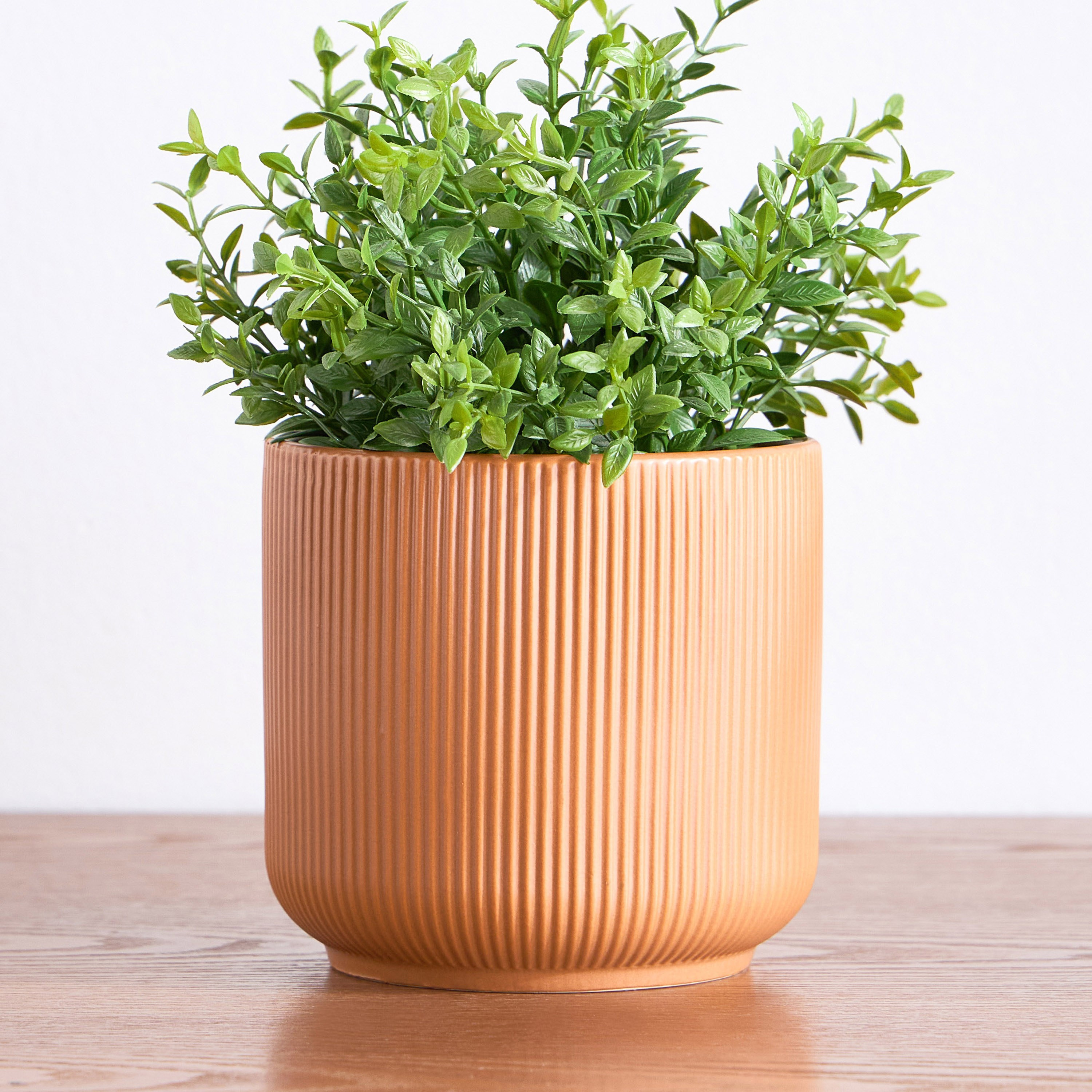 Vesta Ceramic Planter - 12 cm-household-gardenandoutdoor-potsandplanters-planters-image-1