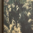 زينة حائط كانفاس مؤطرة - سيلوسيا - 80x120 سم-household-walldecorandmirrors-wallart-image-2