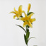 باقة زهور زنبق النمر-household-gardenandoutdoor-artificialflowersandplants-stems-image-3