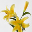 باقة زهور زنبق النمر-household-gardenandoutdoor-artificialflowersandplants-stems-image-2