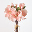 زهرة الماجنوليا-household-gardenandoutdoor-artificialflowersandplants-stems-image-3