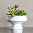 نباتات عصارية صناعية متنوعة في وعاء - تيرا - 20 سم-household-gardenandoutdoor-artificialplants-succulents-image-4
