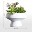 نباتات عصارية صناعية متنوعة في وعاء - تيرا - 20 سم-household-gardenandoutdoor-artificialplants-succulents-image-1