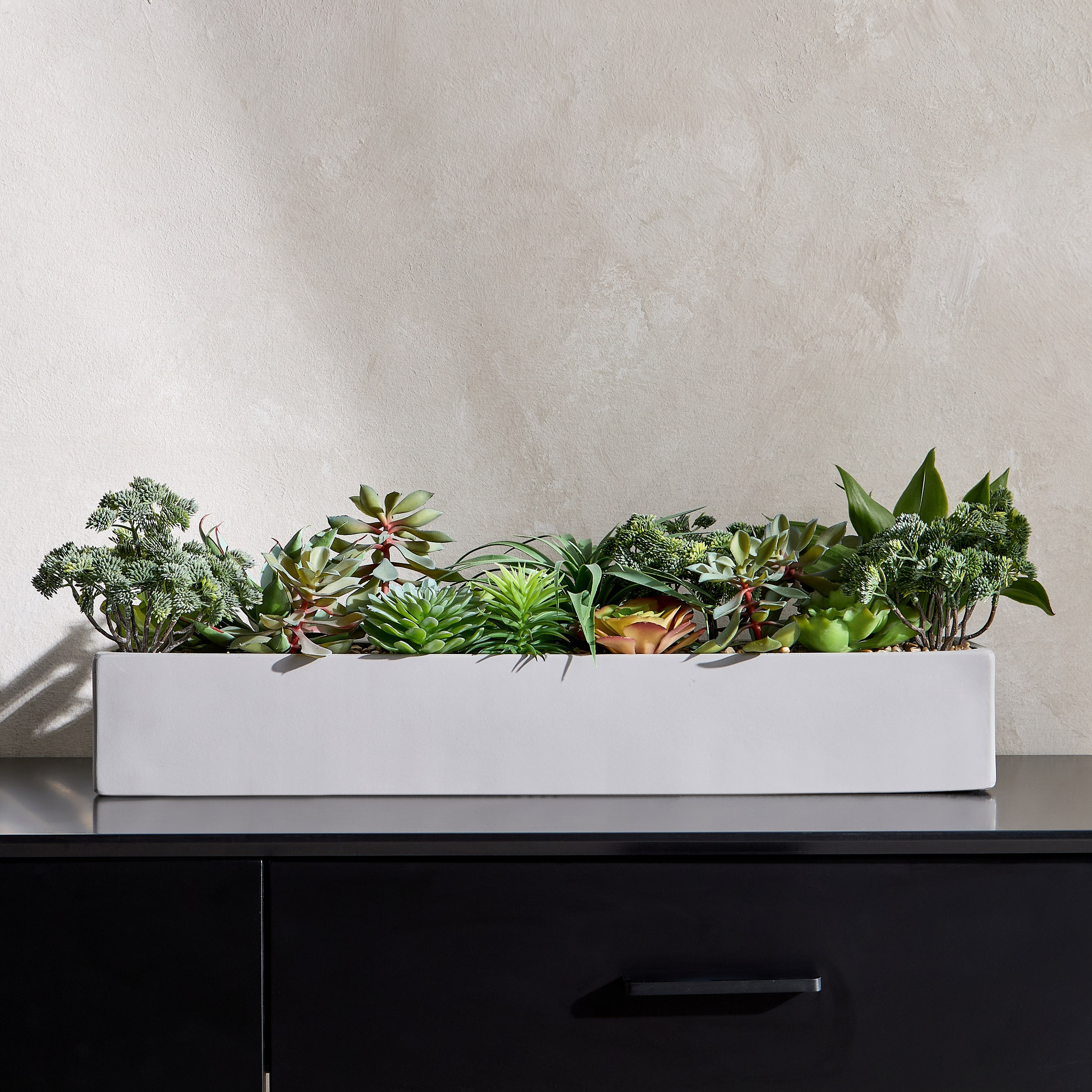 إناء زرع نبات عصاري مختلط - تيرا - 22 سم-household-gardenandoutdoor-artificialplants-succulents-image-1