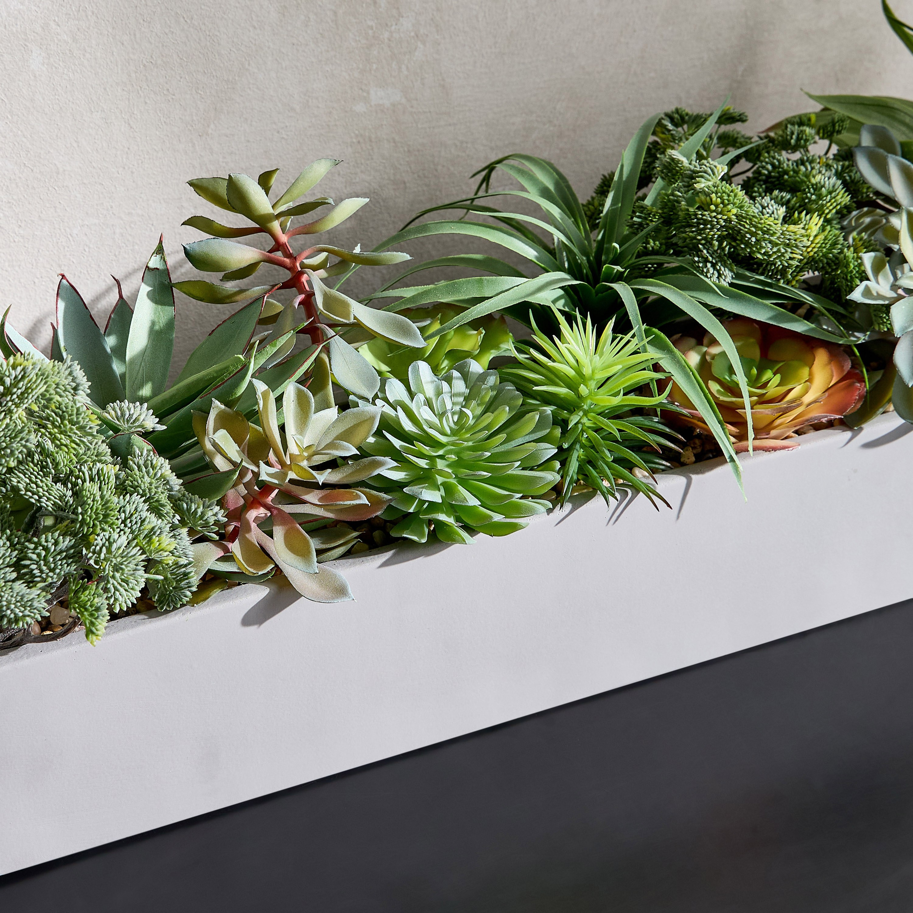 إناء زرع نبات عصاري مختلط - تيرا - 22 سم-household-gardenandoutdoor-artificialplants-succulents-image-2