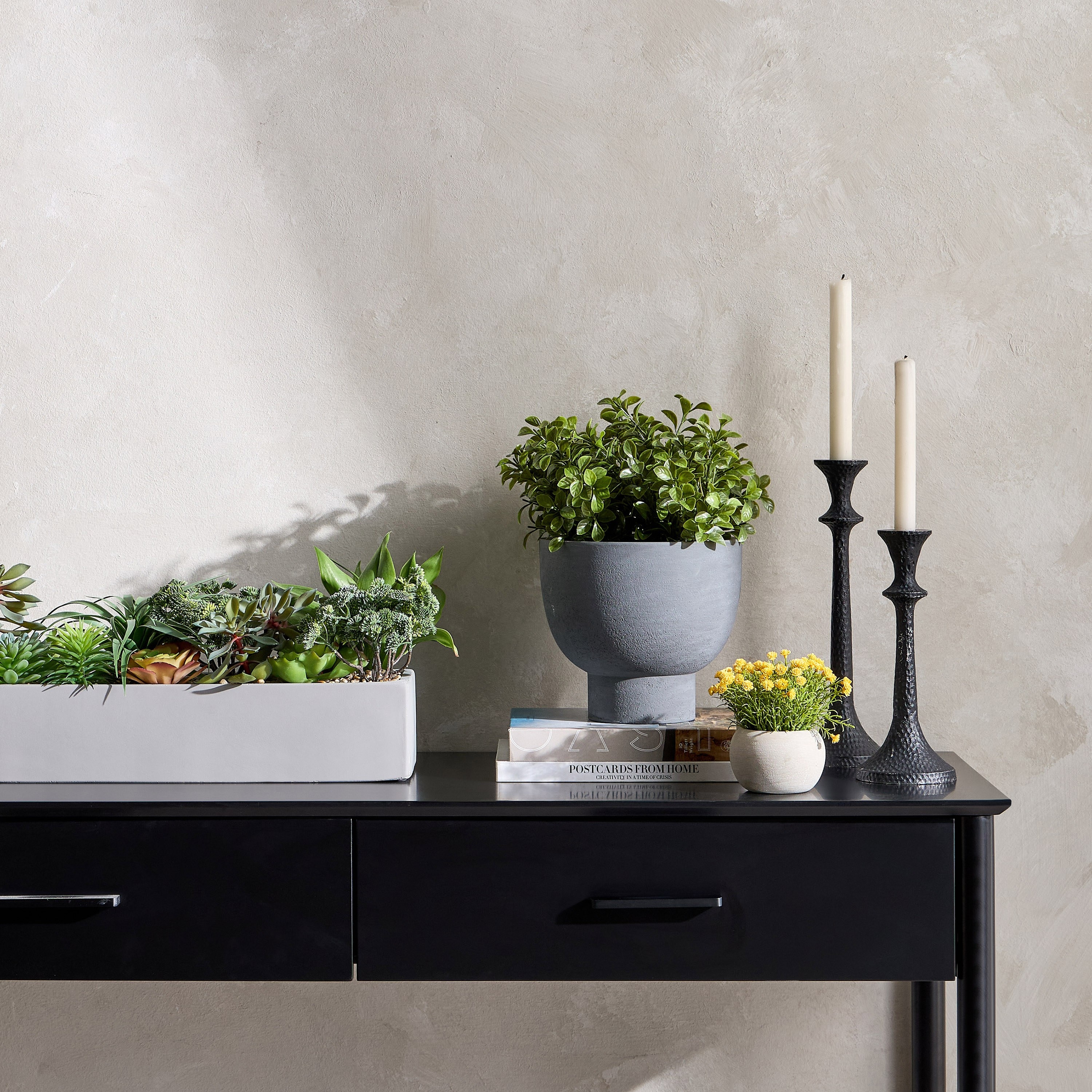إناء زرع نبات عصاري مختلط - تيرا - 22 سم-household-gardenandoutdoor-artificialplants-succulents-image-3