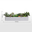 إناء زرع نبات عصاري مختلط - تيرا - 22 سم-household-gardenandoutdoor-artificialplants-succulents-image-1